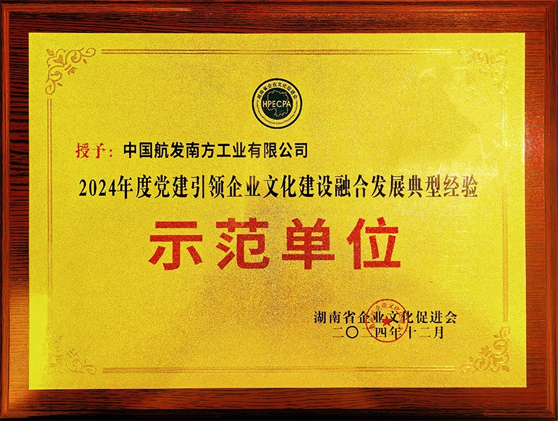 公司获评湖南省2024年度党建引领企业文化建设融合发展典型经验示范单位